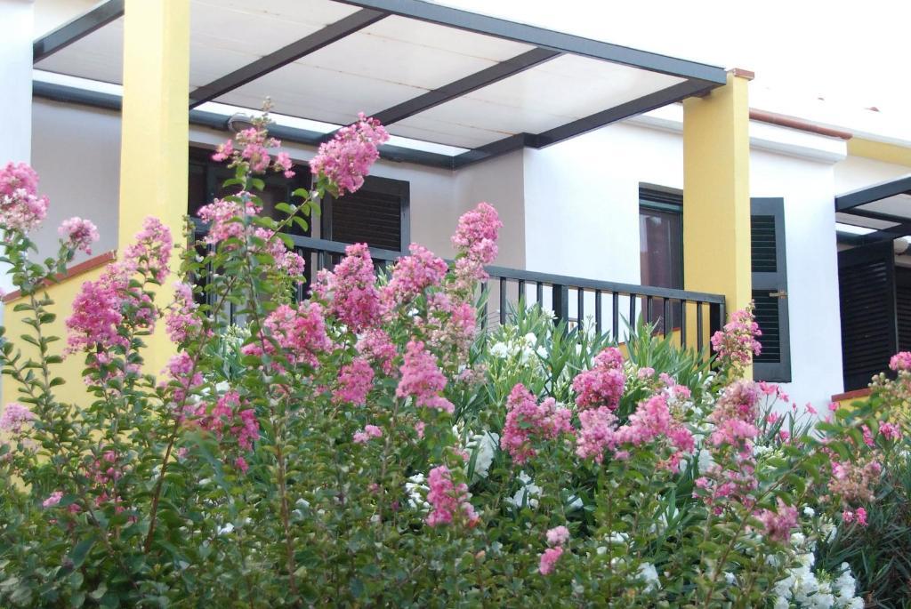 Elia Apartments Afytos Bilik gambar